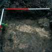 Archaeological evaluation, Test Pit 3 pre-excavation wall remnants, 126-128 High Street, Dunbar