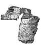 Snapshot of 3D model, from Scotland’s Rock Art Project, High Banks 3, Dumfries and Galloway