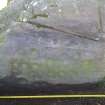 Digital photograph of rock art panel close up of motifs, Scotland's Rock Art Project, Achaneas, Highland