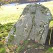 Digital photograph of rock art panel context, Scotland's Rock Art Project, Achaneas, Highland
