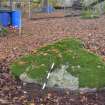 Digital photograph of panel to north, Scotland's Rock Art Project, Achterneed Wood 2, Highland