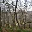 Digital photograph of panorama, Scotland's Rock Art Project, Achterneed Wood 2, Highland