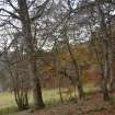 Digital photograph of panorama, Scotland's Rock Art Project, Achterneed Wood 2, Highland