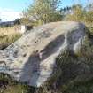 Digital photograph of panel to north-west, Scotland's Rock Art Project, Allt a' Chuilinn 4, Highland