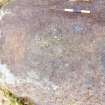 Digital photograph of rock art panel context, Scotland's Rock Art Project, Allt a' Chuilinn 4, Highland