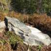 Digital photograph of panel in context with scale, Scotland's Rock Art Project, Allt a' Chuilinn 7, Highland