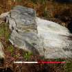 Digital photograph of rock art panel context, Scotland's Rock Art Project, Allt a' Chuilinn 7, Highland