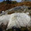 Digital photograph of rock art panel context, Scotland's Rock Art Project, Allt a' Chuilinn 7, Highland