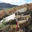 Digital photograph of rock art panel context, Scotland's Rock Art Project, Allt a' Chuilinn 7, Highland