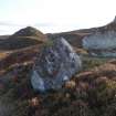 Digital photograph of rock art panel context, Scotland's Rock Art Project, Allt Thorrisdail 1, Highland