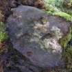 Digital photograph of rock art panel context, Scotland's Rock Art Project, Park of Tongland 3, Dumfries and Galloway