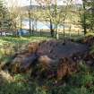 Digital photograph of rock art panel context, Scotland's Rock Art Project, Park of Tongland 3, Dumfries and Galloway