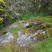 Digital photograph of panel before cleaning, from Scotland’s Rock Art Project, Torrs 3, Dumfries and Galloway