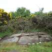 Digital photograph of panel to south-east, from Scotland’s Rock Art Project, Torrs 3, Dumfries and Galloway