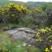 Digital photograph of panel to east, from Scotland’s Rock Art Project, Torrs 3, Dumfries and Galloway