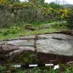 Digital photograph of rock art panel context, Scotland's Rock Art Project, Torrs 3, Dumfries and Galloway