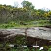 Digital photograph of panel to north-west, from Scotland’s Rock Art Project, Torrs 3, Dumfries and Galloway