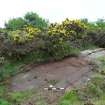 Digital photograph of panel to south, from Scotland’s Rock Art Project, Torrs 3, Dumfries and Galloway