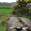 Digital photograph of panel to north-east, from Scotland’s Rock Art Project, Torrs 3, Dumfries and Galloway