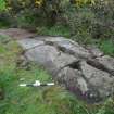 Digital photograph of rock art panel context, Scotland's Rock Art Project, Torrs 3, Dumfries and Galloway