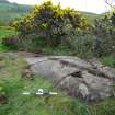 Digital photograph of panel in context with scale, from Scotland’s Rock Art Project, Torrs 3, Dumfries and Galloway