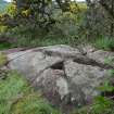 Digital photograph of rock art panel context, Scotland's Rock Art Project, Torrs 3, Dumfries and Galloway