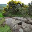 Digital photograph of panel in context without scale, from Scotland’s Rock Art Project, Torrs 3, Dumfries and Galloway
