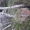 A concrete pile that once supported the cook house, with the central timber stump (left)