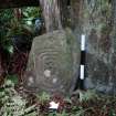 Digital photograph of panel to south-west, from Scotland’s Rock Art Project, Kirkdale House 1, Dumfries and Galloway