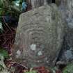 Digital photograph of close ups of motifs, from Scotland’s Rock Art Project, Kirkdale House 1, Dumfries and Galloway