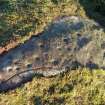 Digital photograph of perpendicular to carved surface(s), from Scotland's Rock Art Project, Balnafoich 1, Highland