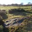 Digital photograph of panel to west, from Scotland's Rock Art Project, Balnafoich 1, Highland