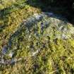 Digital photograph of panel before cleaning, from Scotland's Rock Art Project, Balnafoich 1, Highland