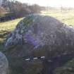 Digital photograph of panel to south, from Scotland's Rock Art Project, Balnafoich 2, Highland