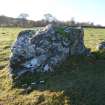 Digital photograph of panel to west, from Scotland's Rock Art Project, Balnafoich 2, Highland