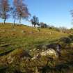 Digital photograph of panel to north, from Scotland's Rock Art Project, Balnafoich 3, Highland