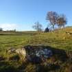 Digital photograph of panel to west, from Scotland's Rock Art Project, Balnafoich 3, Highland