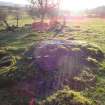 Digital photograph of panel to south, from Scotland's Rock Art Project, Balnafoich 3, Highland