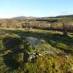 Digital photograph of panel to east, from Scotland's Rock Art Project, Balnafoich 3, Highland