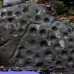 Snapshot of 3D model, Scotland's Rock Art Project, Balnuarin of Clava North East Kerb, Highland