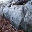 Digital photograph of rock art panel context, Scotland's Rock Art Project, Balnuarin of Clava North East Passage 1, Highland