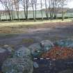 Digital photograph of panel to south, from Scotland's Rock Art Project, Balnuarin of Clava, Highland