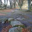 Digital photograph of panel to east, from Scotland's Rock Art Project, Balnuarin of Clava, Highland