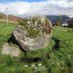 Digital photograph of rock art panel context, Scotland's Rock Art Project, Blarmachfoldach 2, Highland