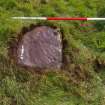 Digital photograph of panel, from Scotland's Rock Art Project, Borve, Highland
