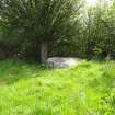 Digital photograph of panel to south, from Scotland's Rock Art Project, Bottacks The Fairy Stone, Highland