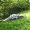 Digital photograph of panel to west, from Scotland's Rock Art Project, Bottacks The Fairy Stone, Highland