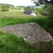 Digital photograph of panel to east, from Scotland's Rock Art Project, Bottacks The Fairy Stone, Highland