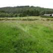 Digital photograph of rock art panel context, Scotland's Rock Art Project, Bottacks The Fairy Stone, Highland