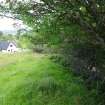 Digital photograph of rock art panel context, Scotland's Rock Art Project, Bottacks The Fairy Stone, Highland